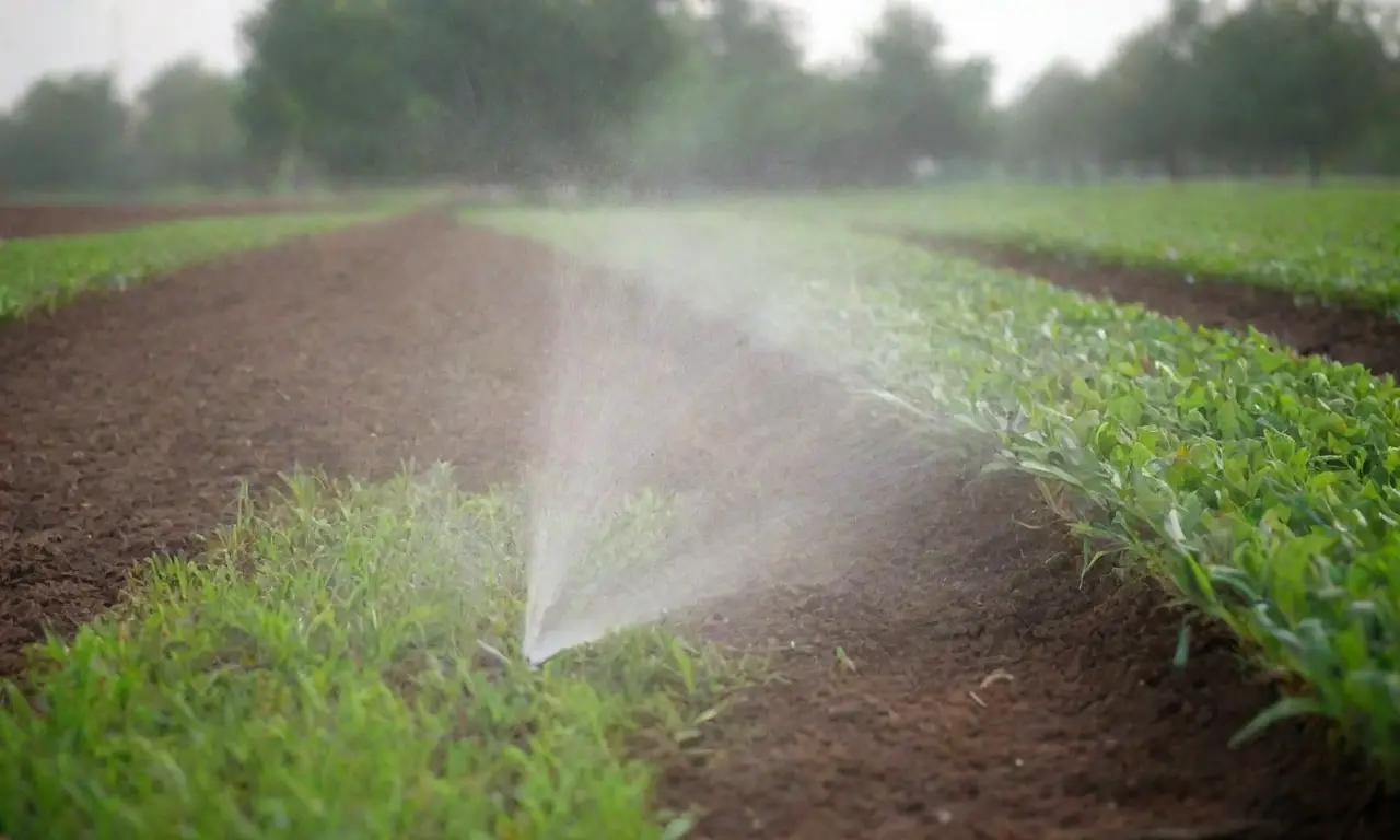 Tipos de sistemas de riego y técnicas de conservación de agua