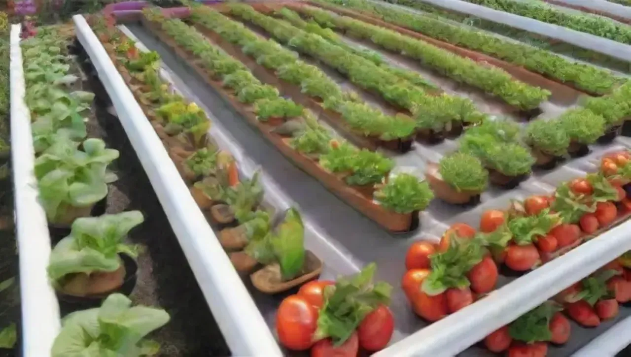 Un jardín hidropónico vibrante y sostenible con plantas frescas y tecnología innovadora