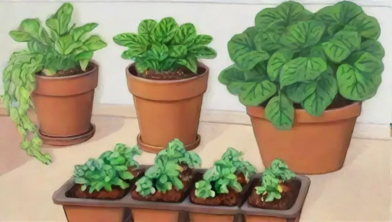 Un acogedor oasis de jardín interior con plantas vibrantes y herramientas organizadas