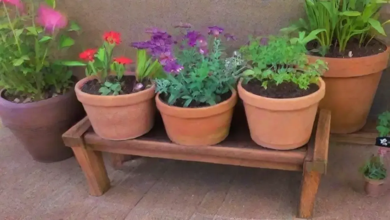 Un jardín vibrante y acogedor lleno de hierbas, flores y herramientas, bañado en luz y aromas