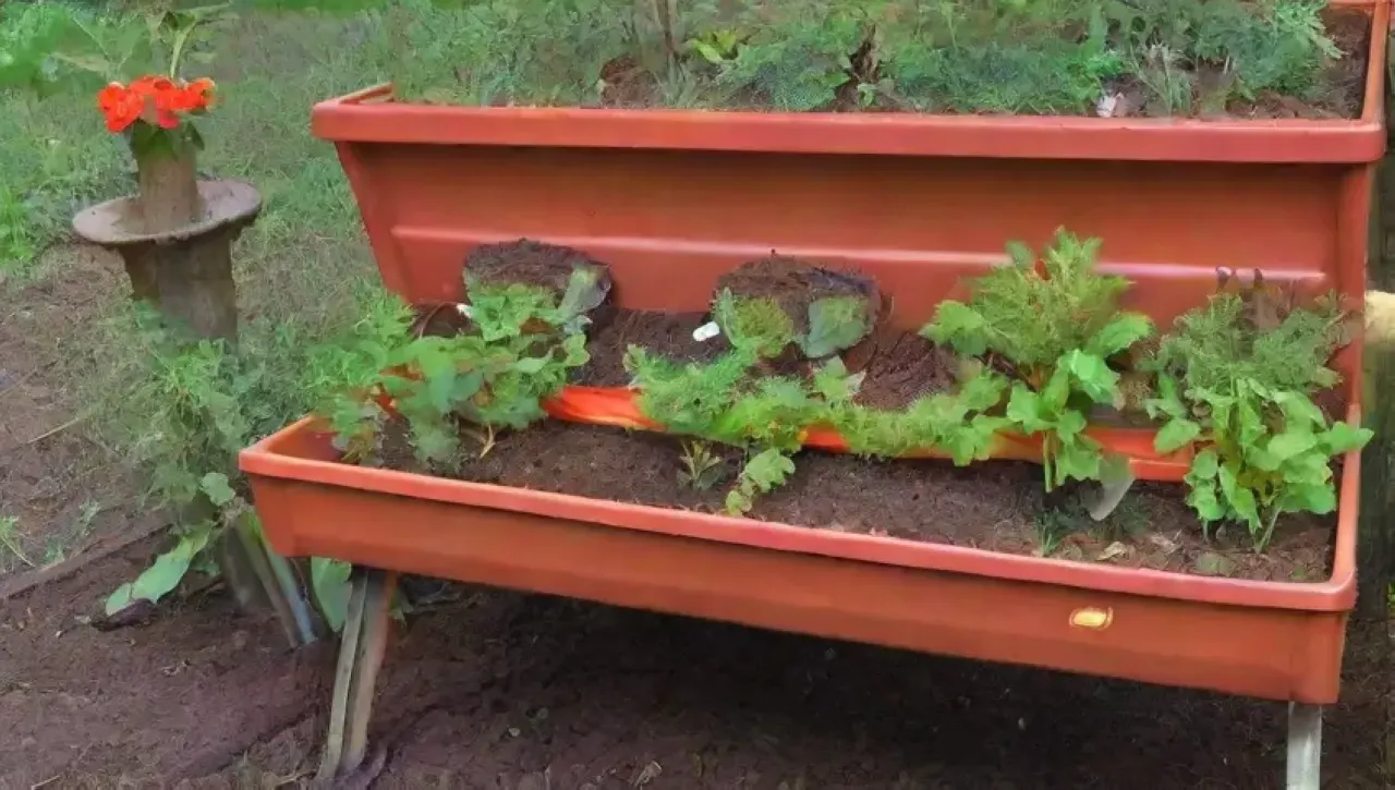 Un jardín urbano vibrante con compostaje y plantas saludables