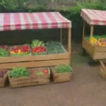 Cómo registrar un huerto ecológico para venta en mercados locales