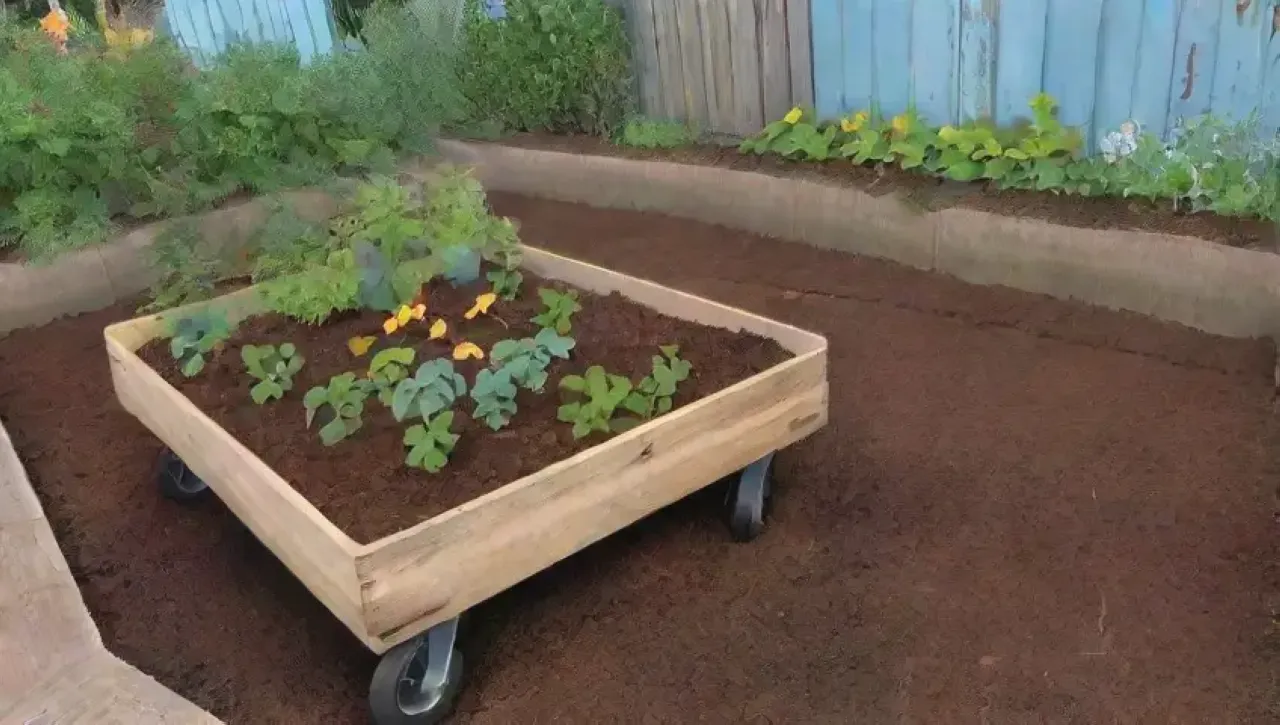 Un jardín vibrante con tierra rica, brotes verdes, flores coloridas y herramientas rústicas