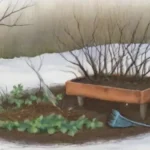 Puede la poda invernal ser un momento ideal para eliminar malezas