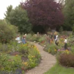 Jardín vibrante con plantas diversas