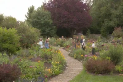 Jardín vibrante con plantas diversas