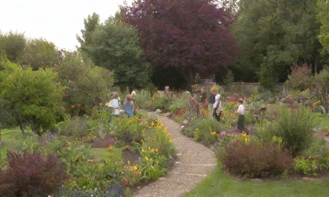 Jardín vibrante con plantas diversas