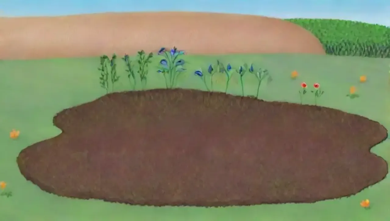 Un ecosistema vibrante y diverso florece en un suelo rico y húmedo