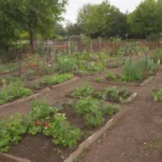 Huerto comunitario con plantas vibrantes