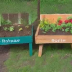 Qué papel juega la agroecología en la sostenibilidad en huertos