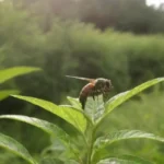 Ecología vibrante con crecimiento sostenible y control de plagas