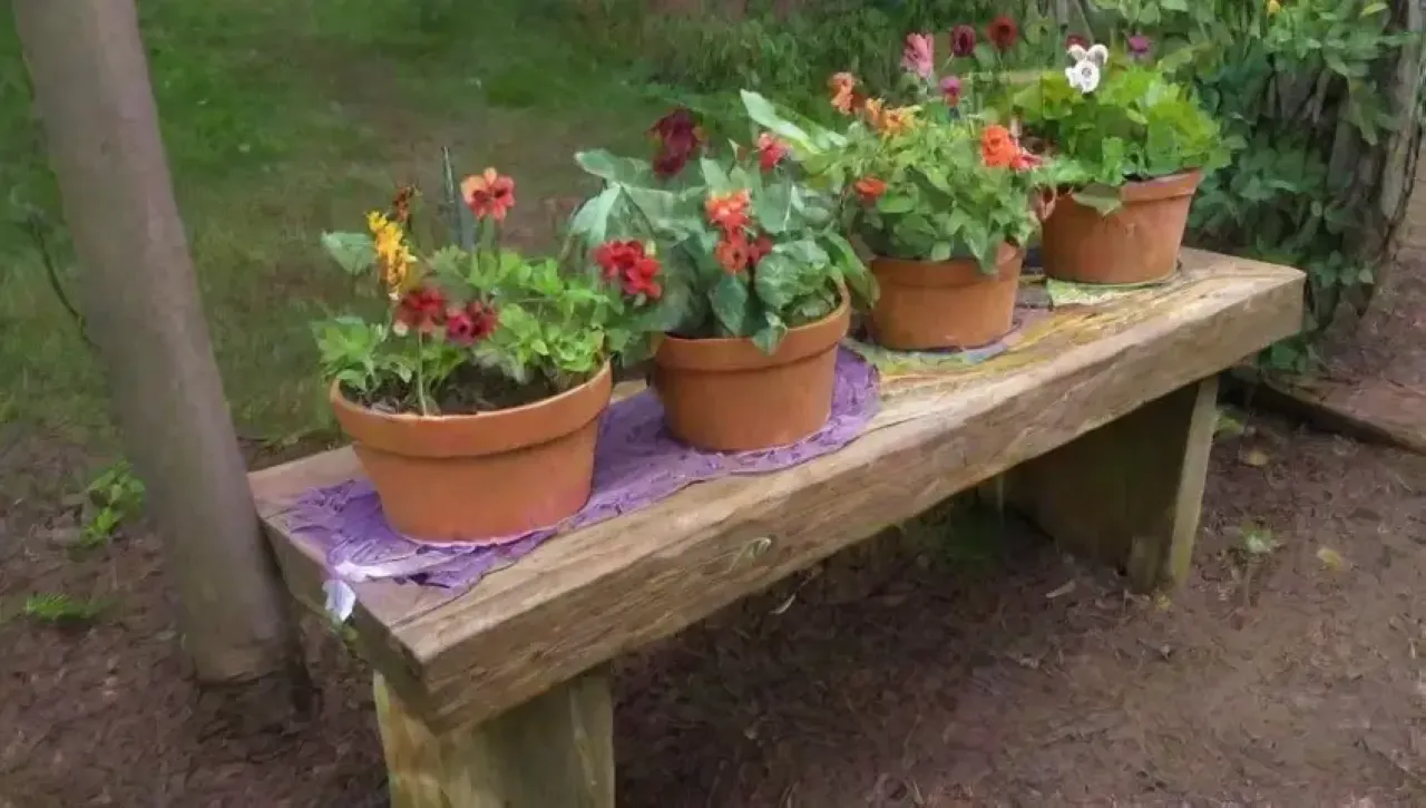 Un jardín vibrante y tranquilo lleno de vida y cuidado
