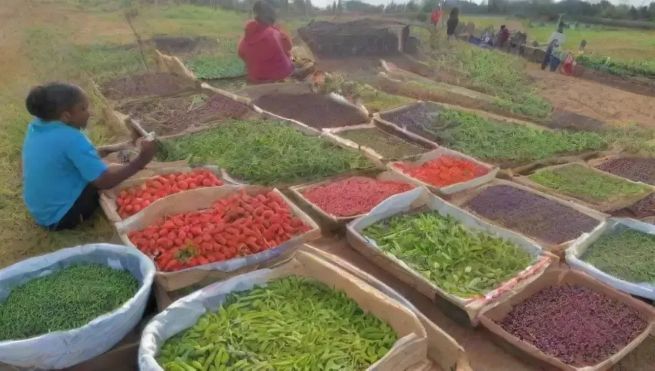 Un vibrante paisaje agrícola lleno de vida, comunidad y sostenibilidad