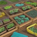Cómo realizar un calendario de siembra para tus verduras