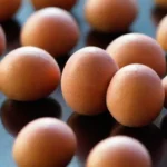 Potencial de los Hongos en la Medicina Nutracéutica Futura