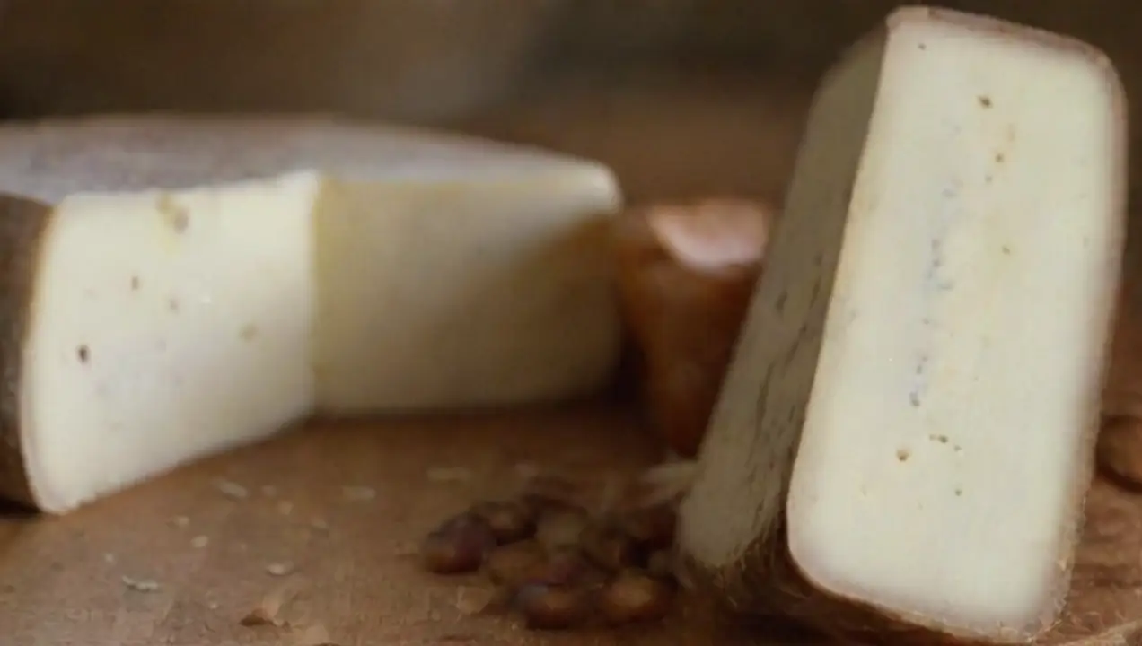 El efecto umami de los quesos fuertes de Ingredientes ideales para combinar con hongos frescos y deliciosos