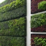 Jardines verticales modernos y sostenibles con riego eficiente