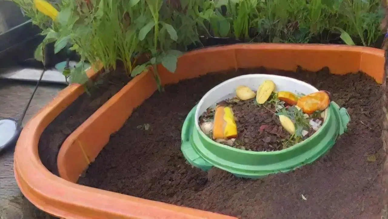 Compost rico y vibrante, lleno de vida y aromas naturales