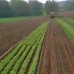 Métodos de cultivo menos propensos a la contaminación