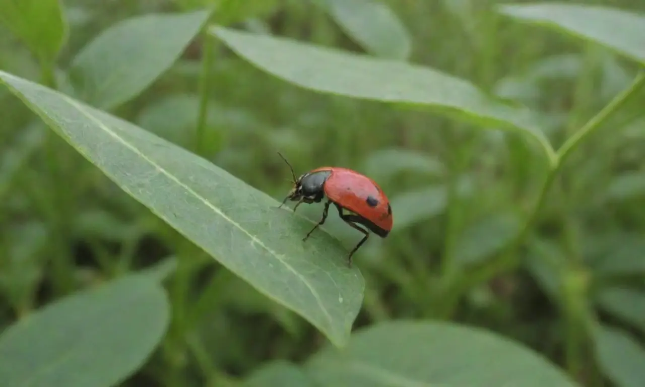 Estrategias de control de plagas orgánico en jardines incluyen manejo integrado, remedios naturales, insectos benéficos, rotación de cultivos y prácticas de higiene