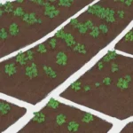 Prácticas agrícolas sostenibles y manejo eficiente de cultivos