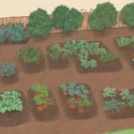 Jardín vegetal con riego eficiente