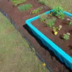 Cómo utilizar abonos verdes en la siembra de primavera