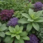 Guía de plantas aromáticas con consejos de jardinería y cuidados visualmente atractivos