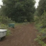 Prácticas sostenibles para el manejo de residuos y reciclaje ecológico