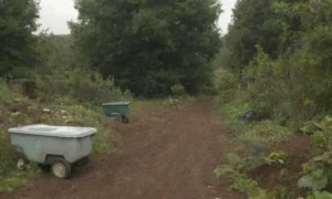 Prácticas sostenibles para el manejo de residuos y reciclaje ecológico