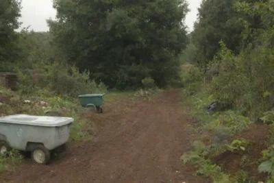 Prácticas sostenibles para el manejo de residuos y reciclaje ecológico