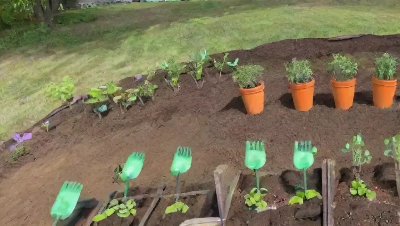 Un jardín vibrante lleno de plantas, flores, herramientas y naturaleza