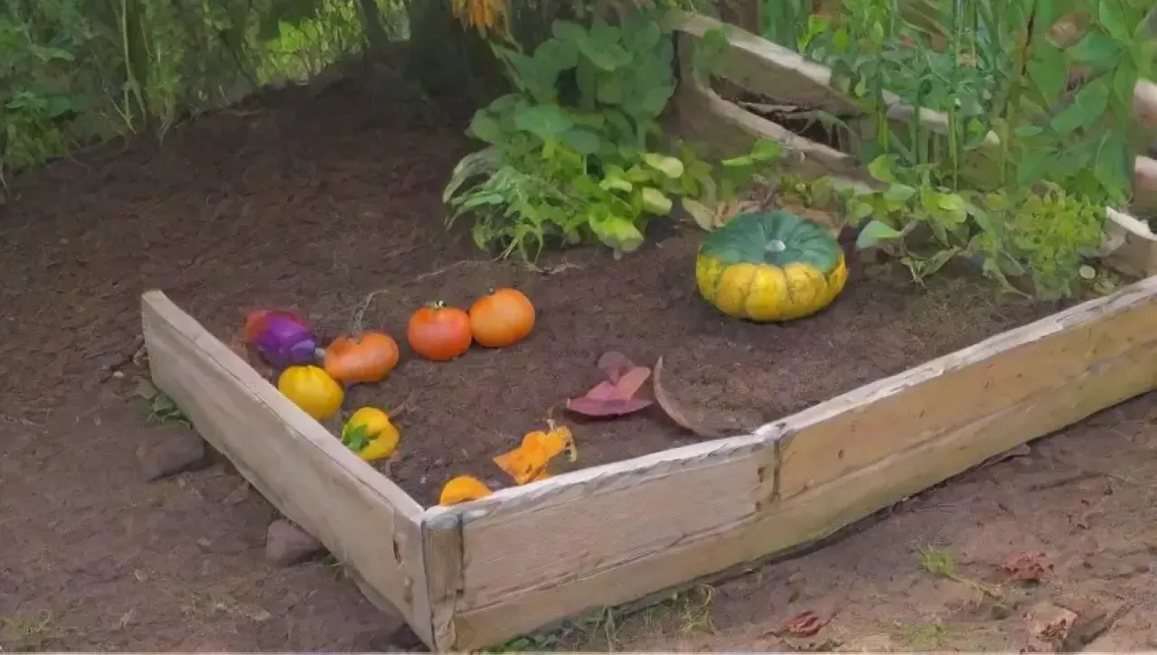 Un jardín vibrante y armonioso lleno de vida y color