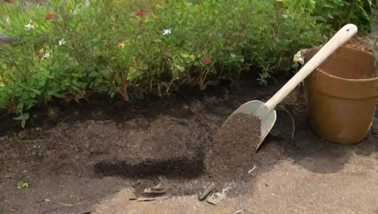 Un sereno jardín combina ceniza, tierra oscura, brotes verdes y herramientas de jardinería