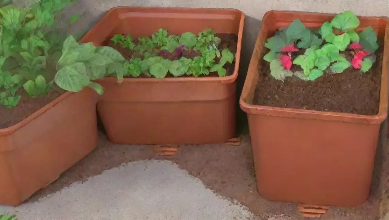 Un compost vibrante y saludable rodeado de un jardín floreciente