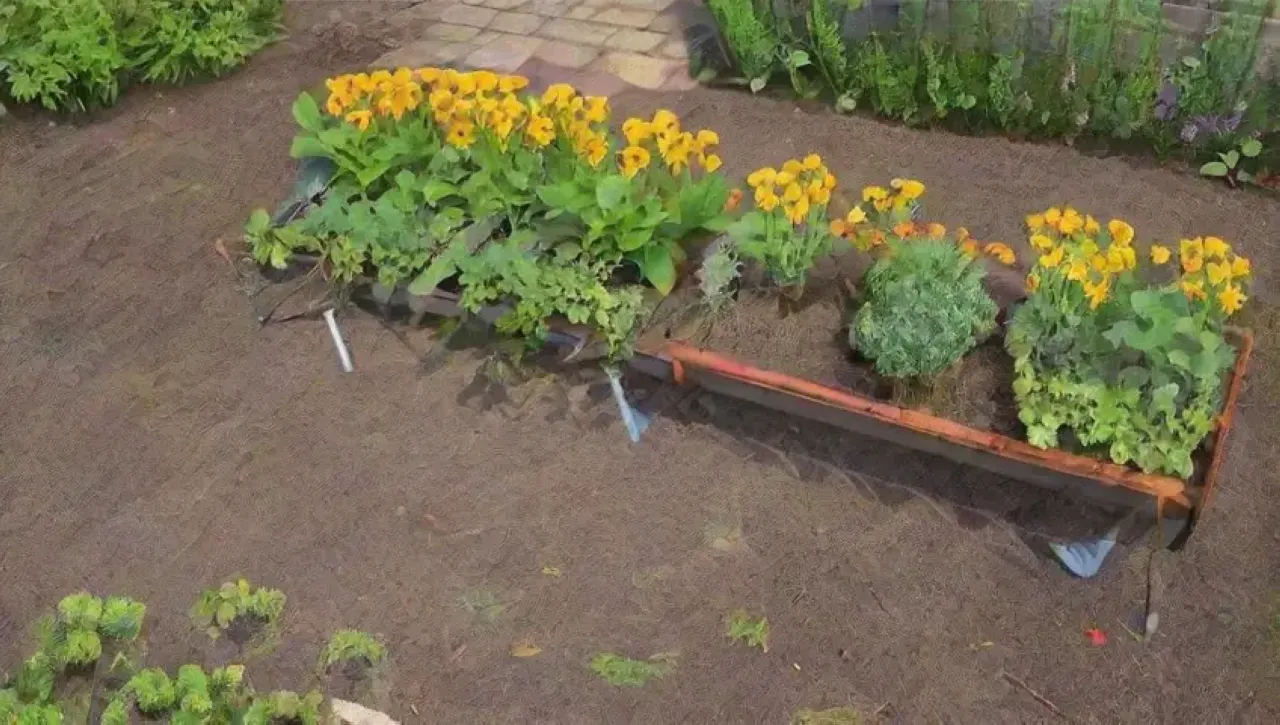 Un jardín vibrante y lleno de vida