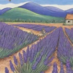 Campos de lavanda florecen en vibrantes tonos púrpuras