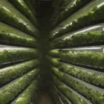 Cultivos verticales en jardines urbanos con diseños innovadores y vegetales frescos