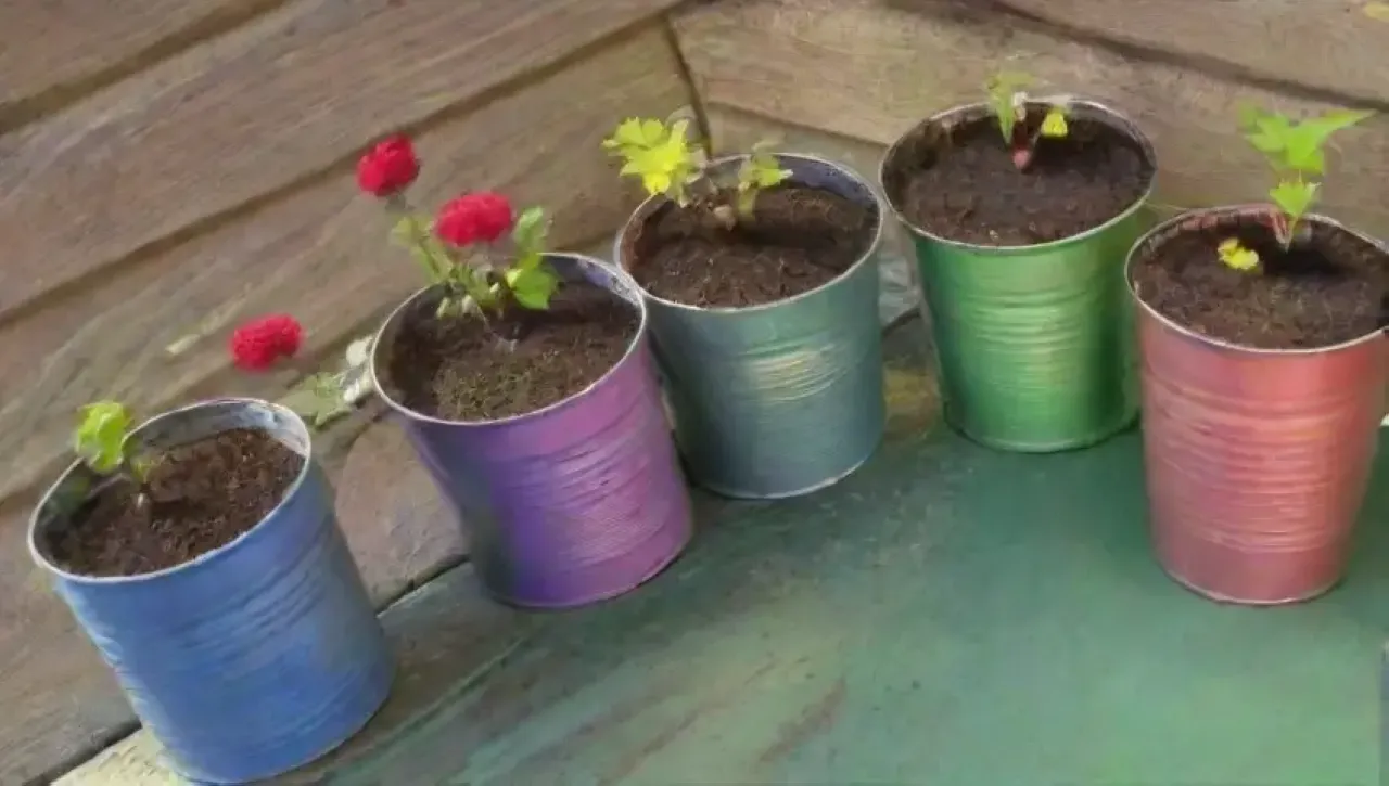 Un jardín vibrante y acogedor con latas brillantes, plántulas verdes y herramientas de jardinería