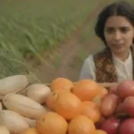 Cómo fomentar la diversidad en los ciclos de cultivo
