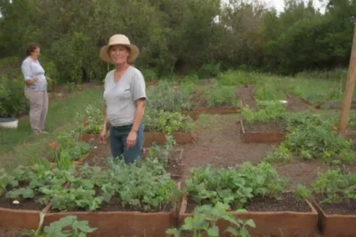 Sueños verdes y jardines vibrantes para el crecimiento comunitario sostenible