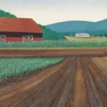 Cómo se ve afectada la salud del suelo por prácticas agrícolas convencionales