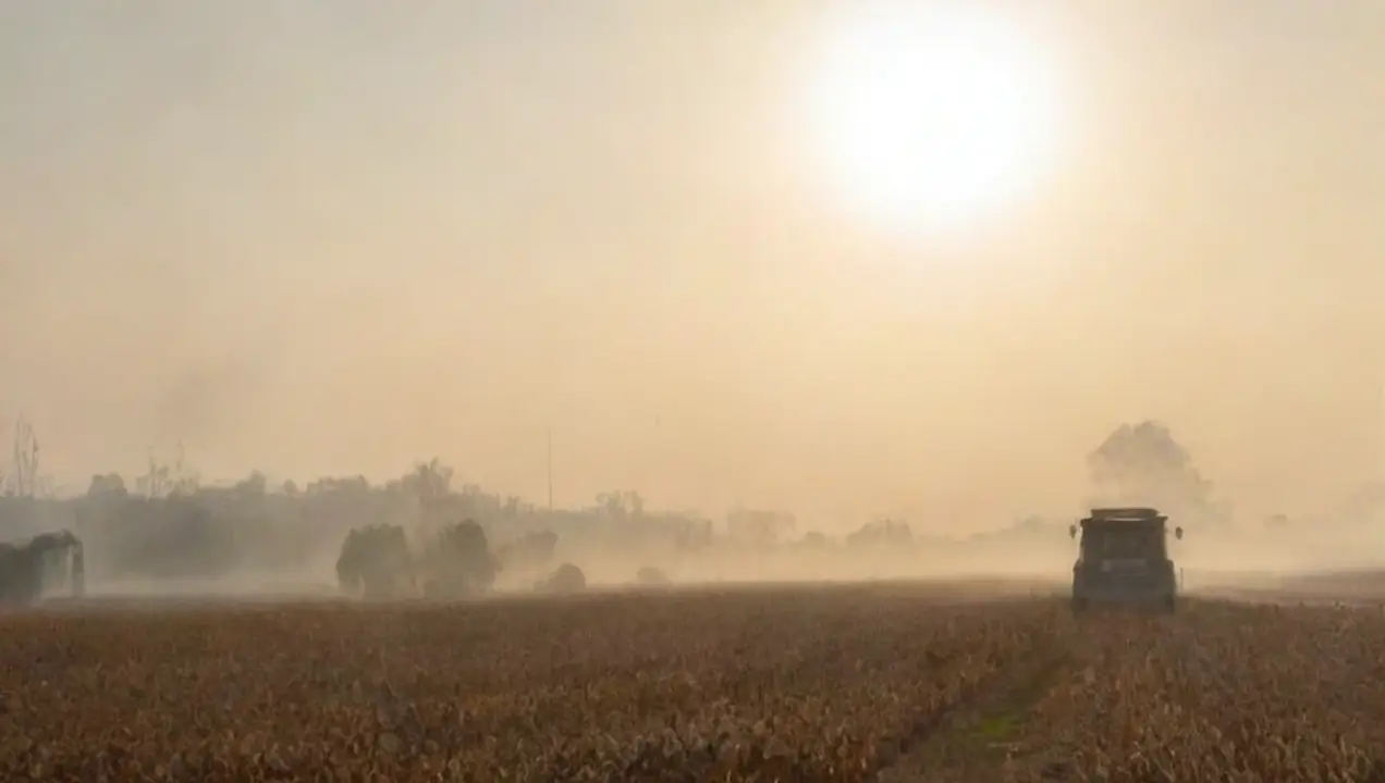 Impacto del tiempo de cosecha en la contaminación del aire de Cómo influye el tiempo de cosecha en la contaminación