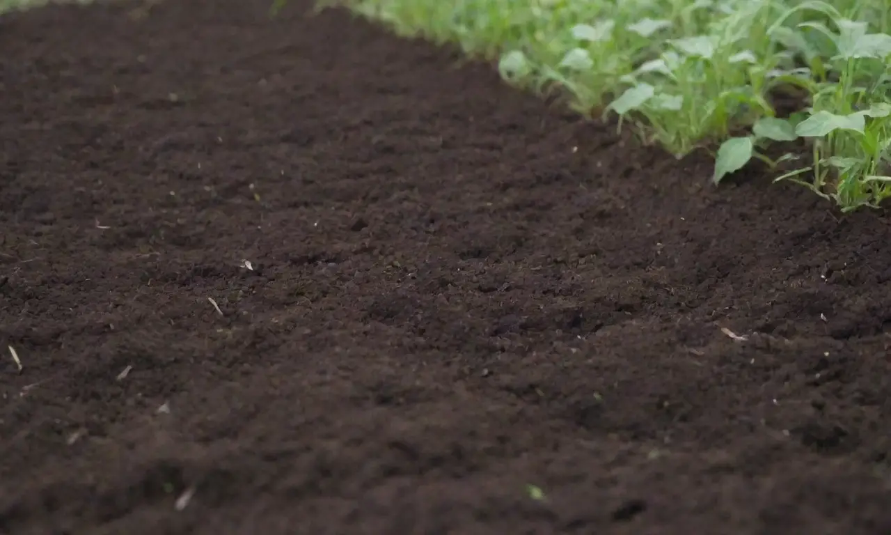 Preparar el suelo implica elegir la ubicación, probar la calidad, añadir materia orgánica, desmalezar, mezclar compost, airear, nivelar, crear camas de siembra y asegurar el drenaje