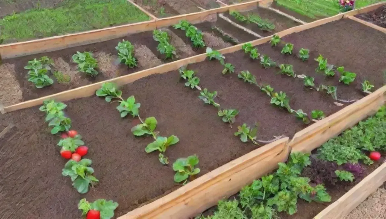 Un jardín vibrante lleno de vegetales, flores y vida