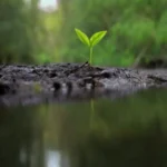 Impacto de condiciones ambientales en la contaminación ambiental