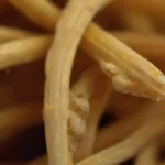 La importancia del hongo de paja: lo que debes saber