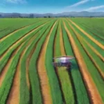 En qué región del mundo se utilizan más los drones en agricultura