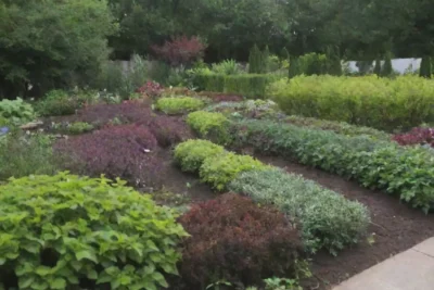 Guía integral para un jardín en casa: cultivos