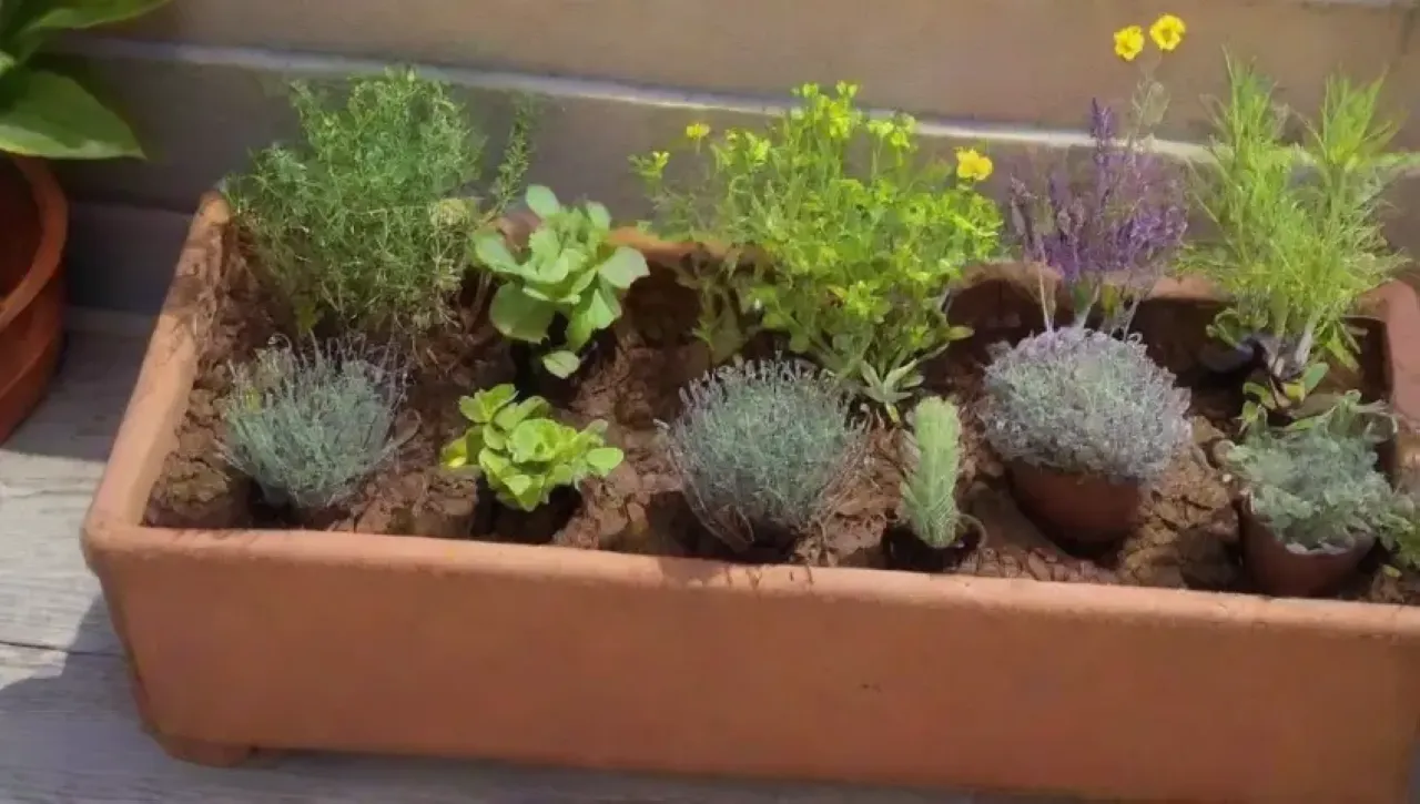 Un jardín aromático y vibrante con hierbas frescas y colores vivos